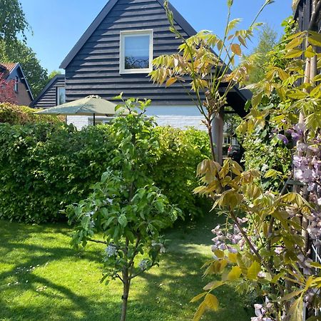 Tiny House De Oude Berg Villa Bergen Dış mekan fotoğraf